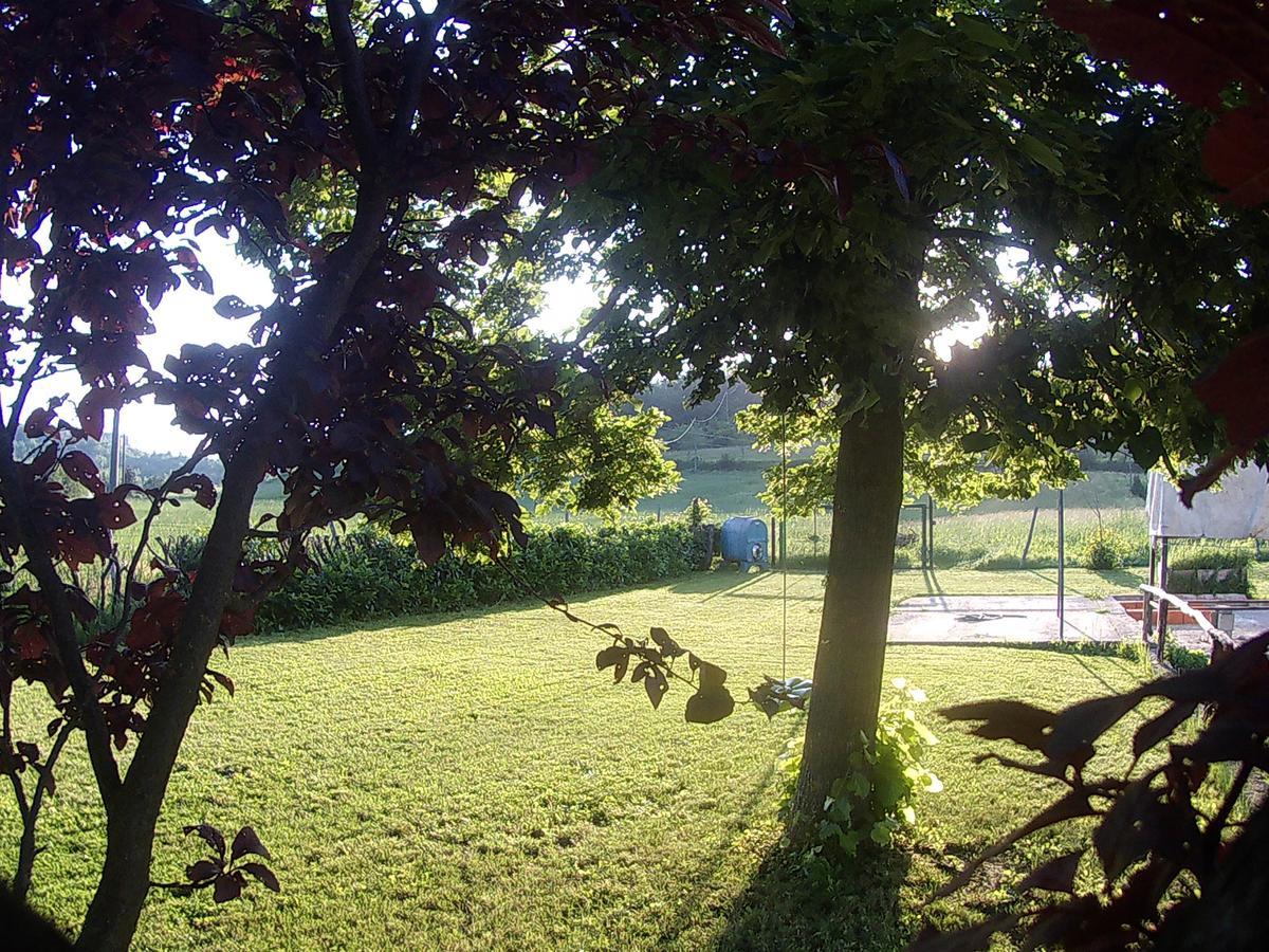 Gavi/Alice Open Space Bed and Breakfast Exterior foto